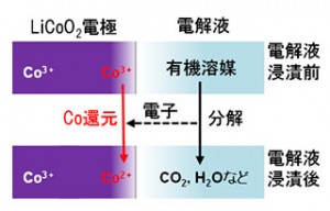 電解液浸漬による電極最表面コバルト種の還元挙動